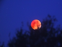 Eclipsed Moon with Uranus (click to enlarge)